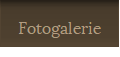 Fotogalerie