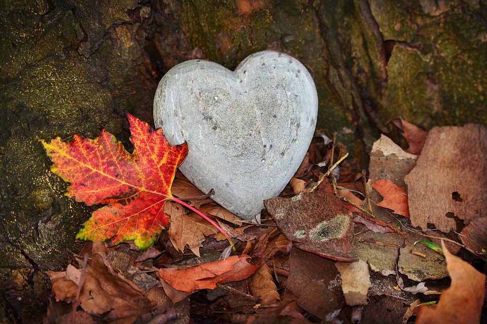 heart-3764307_960_720