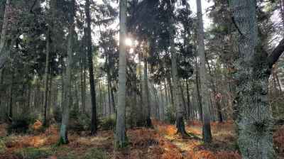 Ruhezone für die Seele