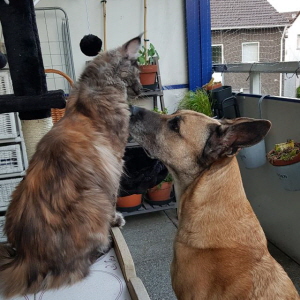 Freunde...